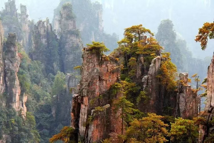 微信图片_20241106090401