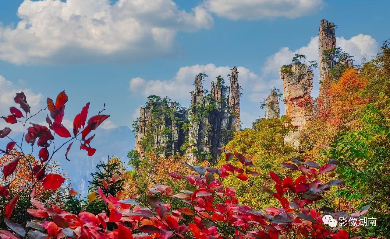 微信图片_20241106090357