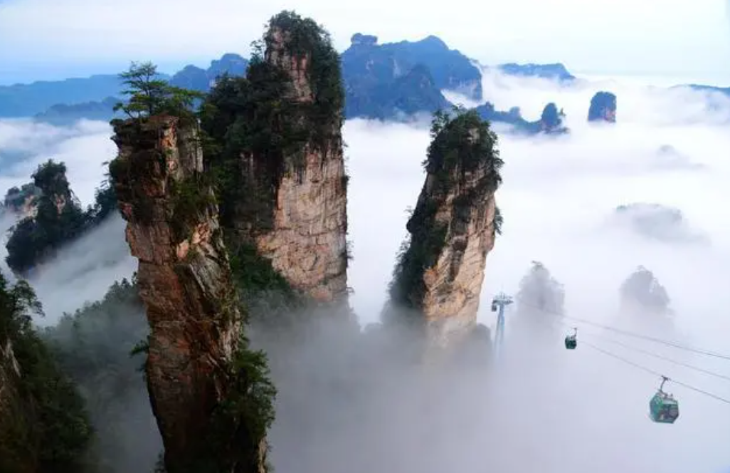 微信图片_20241125080728 微信图片_20241125080728