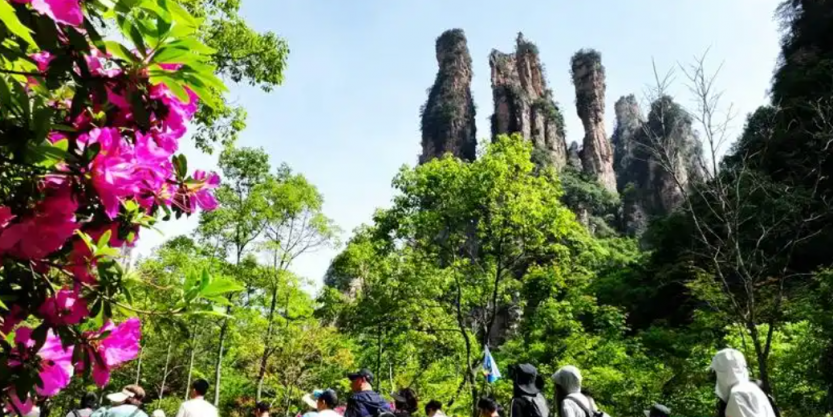 微信图片_20250507095155
